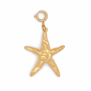 Seastar charm