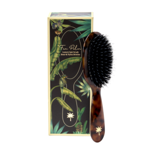 Fan Palm | Dry Brush Turtle Small