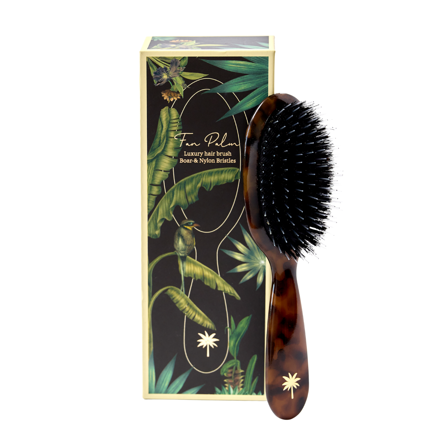 Fan Palm | Dry Brush Turtle Small