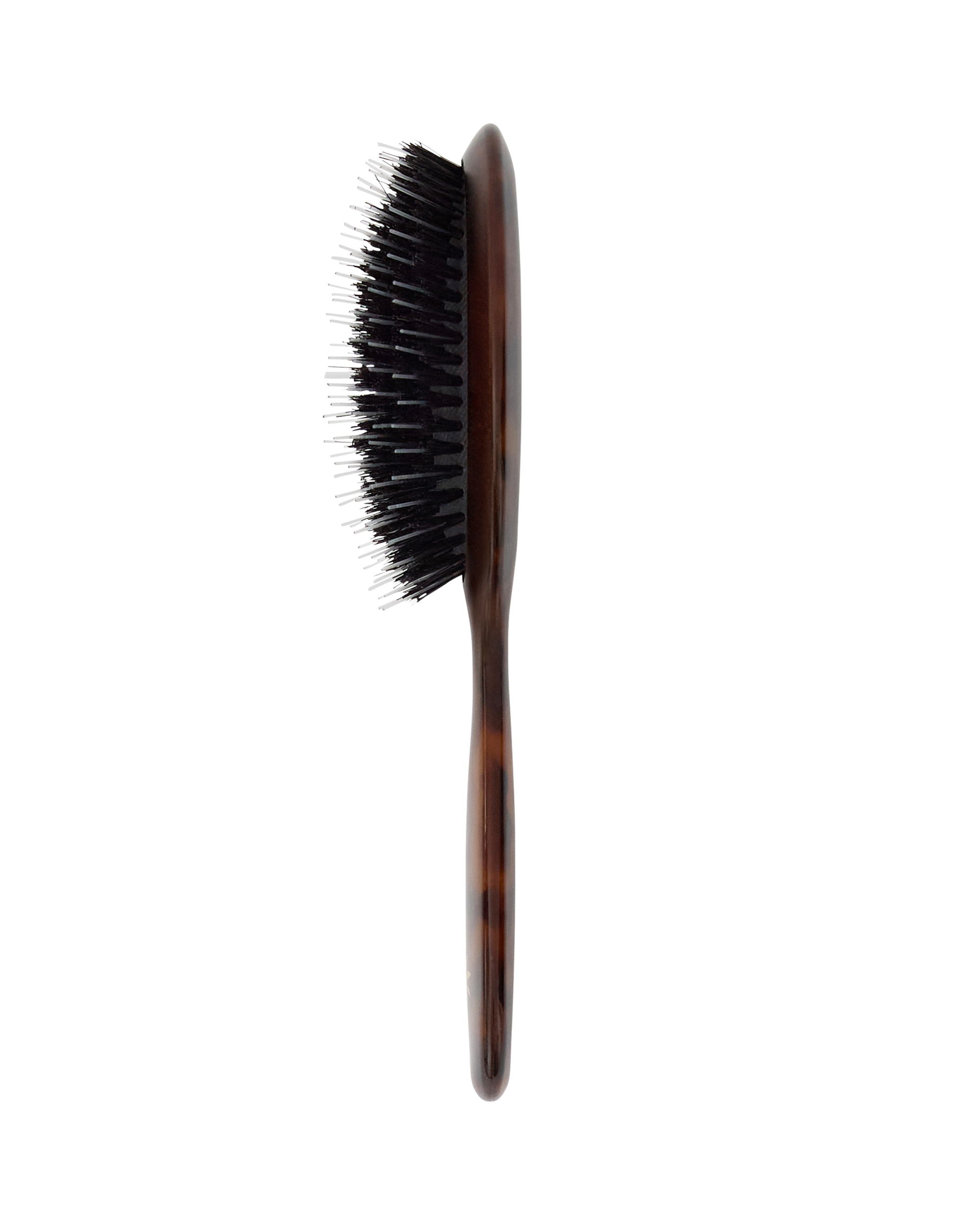 Fan Palm | Dry Brush Turtle Small - Afbeelding 4